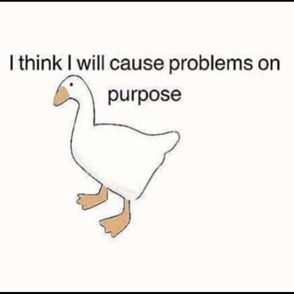 Meet your Posher, Emily - Picture 7 of 7